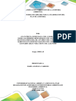 Paso 3 - Realizacion de Auditorias e Interventorias Ambientales