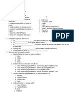 Evaluacion de Bioquimica Sistema Linfatico