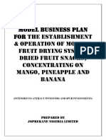 Model Business Plan Mango Pineapple Banana 1 1 1