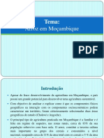 Producaodearrozemmocambique 130824054131 Phpapp01