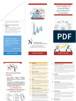 TRIPTICO GESTION CONTABLE - 15 Principios de Contabilidad Generalemente Aseptados