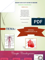 Diapositivas Embriologia Sistema Cardiovascular Completo