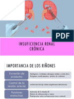 Insuficiencia Renal Crónica