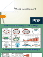 2nd Week Development (2 Oct 2018-08.00)