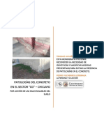 Monografía, Calidad Del Concreto, Presencia de Patologías en El Concreto, Problemas Con Los Sulfatos en Lambayeque.