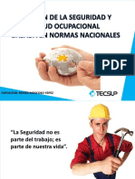 Gestión de La Seguridad y Salud Ocupacional, Tecsup PDF