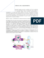  Teoria Glutamatergica de La Esquizofrenia 