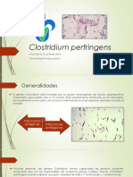 Clostridium Perfringens