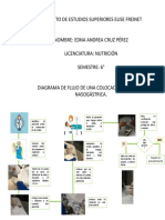 Diagrama de Flujo Sonda Nasogastrica