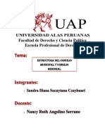 Estructura Del Concejo Municipal y Consejo Regional