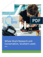 Whale Shark Research and Conservation, Southern Leyte