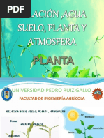 3° Clase SISTEMA PLANTA