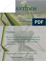 Seminario Mántidos 