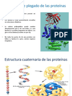 Proteínas y Ácidos Nucleicos