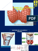 Enfermedades Tiroideas