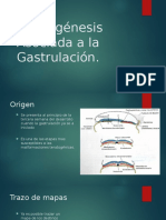 Teratogénesis Asociada A La Gastrulación