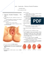 Sistema Genital Feminino