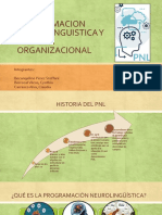 PNL y Cultura Organizacional