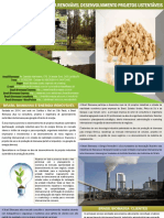 Biomassa Brasil e Energia Renovável Desenvolvimento Projetos Sustentéveis