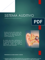 Sistema Auditivo