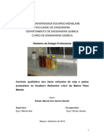 Relatorio Final de Estagio Profissional Maeva PDF