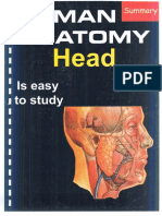 Summary of Head DR - Ihab - 3