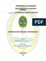 Informe de Practicas Pre Profesionales en Derecho Universidad Del Altiplano