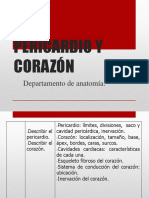 Pericardio y Corazón