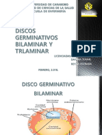 DGB y DGT Presentación