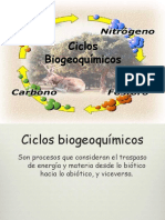 Ciclos Biogeoquimicos