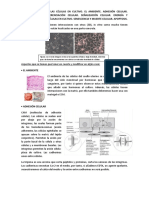 Apuntes Cultivos Celulares e Ingeniería Tisular UA