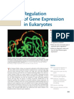 Regulation of Gene Expression in Eukaryotes