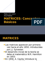 MATRICES Conceptos Básicos