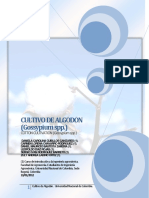 Cultivo Del Algodón PDF