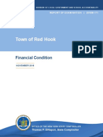 Red Hook 'Financial Condition' Report