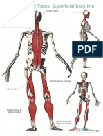 Anatomy Trains Charts