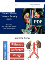 Clase 17 Riñon