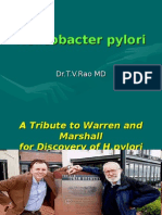 Helicobacter Pylori