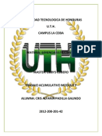 Tarea Gerencia Estrategica Modulo 7