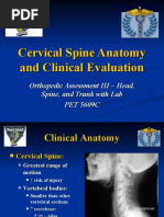 FIU - Cervical Spine