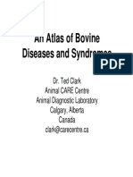 Bovine Disease Atlas