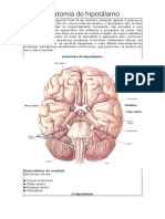 #Fisio Anato Hipotálamo Hipofisário