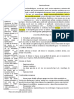 Clase Sobre La Histología de Los Pulmones.