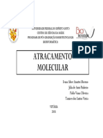 Docking Molecular