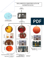 Diretrizes Lab Saude