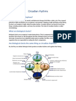 Circadian Rhythms