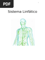 Sistema Linfatico