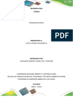 Informe - Microbiologia Ambiental