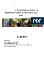 AULA 2018 Desenvolvimento Das Aves