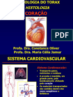 Teórica 9 Coração PDF